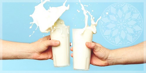 Непереносимость лактозы - молоко а1 и а2